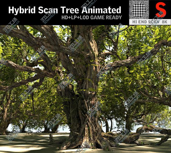 images/goods_img/20210312/3D Tree Animated HD model/1.jpg